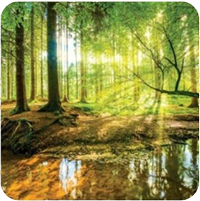 Autogen Tréning Vecsés